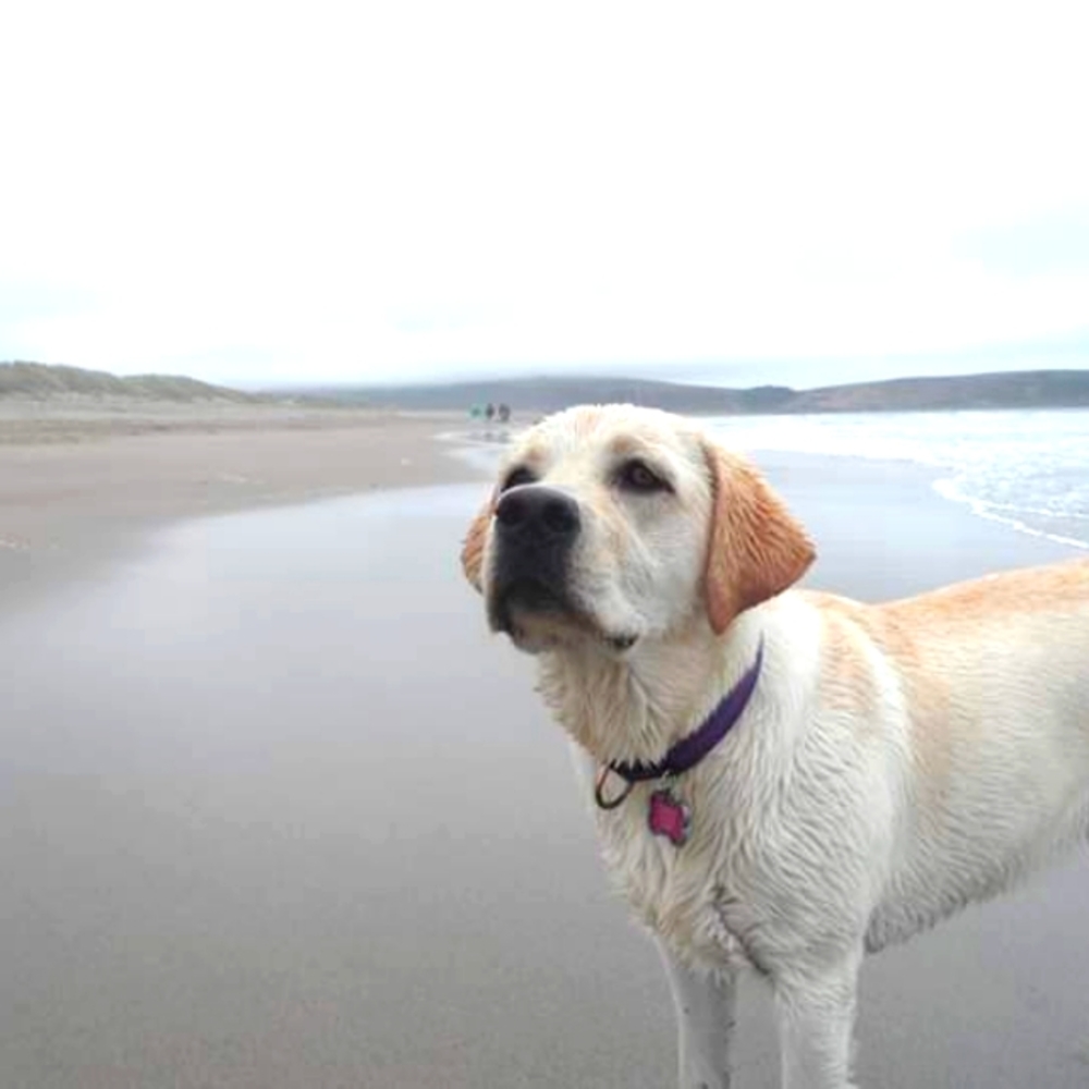 Meet your Posher, Alisa